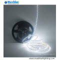 SMD 2835 120LED / M LED Strip Light